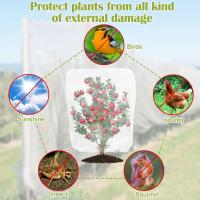 Red De Protección Para Plantas Del Jardín Malla De 60 Agujeros Para Control De Plagas Y Prevención De Pájaros Ideal Para Verduras Flores Y Frutas - details 2