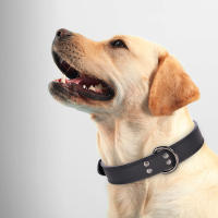 Collar De Cuero Suave Ajustable Para Perros PU Para Pequeños Medianos Y Grandes Raza Pitbull En Rosa Tamaños S-XL - details 8