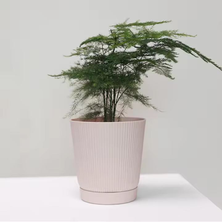 Macetas Pequeñas Con Tazón Floral Maceta Gruesa De Plástico Maceta Respirable De Terracota Con Bandeja Para Jardín - 1