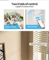 Motorizador Inteligente WiFi Tuya Para Cortina Cadenas Rollos De Herrajes Con Timer RF Control Remoto Alexa Google Assistant - details 2