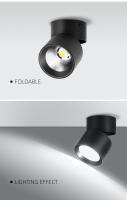Luz De Techo LED Dimmable Tricolor Para Interiores 220V Decoración Para Cocina Pasillo Sala De Estar Luz Spot LED De Alta Potencia - details 11