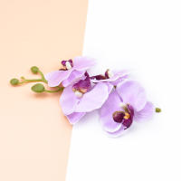 4Pcs Accesorios De Decoración Para El Hogar Hojas Silvestres Y Mariposas En Orchidáceas Silkenvas Para Decoración Del Hogar Flores Artificiales - details 22