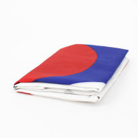 Bandeera De Corea Del Sur 90x150 CM Para Decoración Material Poliéster Estilo Colgante Personalizable Sin Químicos Originales De China - details 5