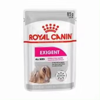 Royal Canin Exigent Wet Dog Food Paté 12x85g para Perros Adultos - 1
