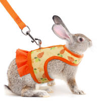 Harnés De Conejo Con Correa Ajustable Y Malla Transpirable Para Cachorro De Conejo Cochinilla Pequeño Animal De Peluche - details 10