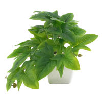 1pc Plantas Artificiales Pequeñas Con Macetas De Plástico Decoración De Escritorio Para Oficina Y Hogar Ambiente Interior Y Exterior - details 13
