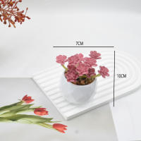 Plantas De Suculentas Artificiales En Macetas Decorativas Falsas De Espinosa Con Macetas Para Decoración Del Hogar Y Jardín - details 2