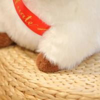 Doctor Hat Capybara De Peluche Muñeco De Peluche Suave Y Cálido Regalo De Graduación De Dibujos Animados Para Adultos Y Niños - details 11