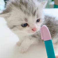 Herramientas De Limpieza Y Cuidado Para Mascotas Gato Cepillo Suave Para Ojos Eliminador De Manchas De Lágrimas Accesorios Para Gatos Suministros De Peluquería Para Mascotas - details 6