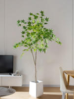 Árbol De Maple Artificial 70-140cm Hojas De Cola De Pollo De Seda Planta Japonesa Falsa Para Decoración De Jardín Y Habitaciones - details 11