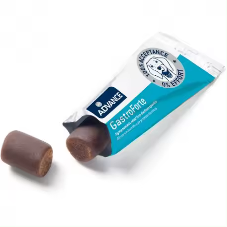 Suplemento Nutricional para perros Gastro Forte 10 gr - 1