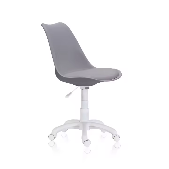 Silla de escritorio Lina - 1