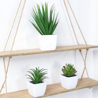 3 Macetas De Plantas Simuladas Pequeñas Para Decoración De Oficinas Salones De Estar Ventanas Jardines Y Courtyards - details 16