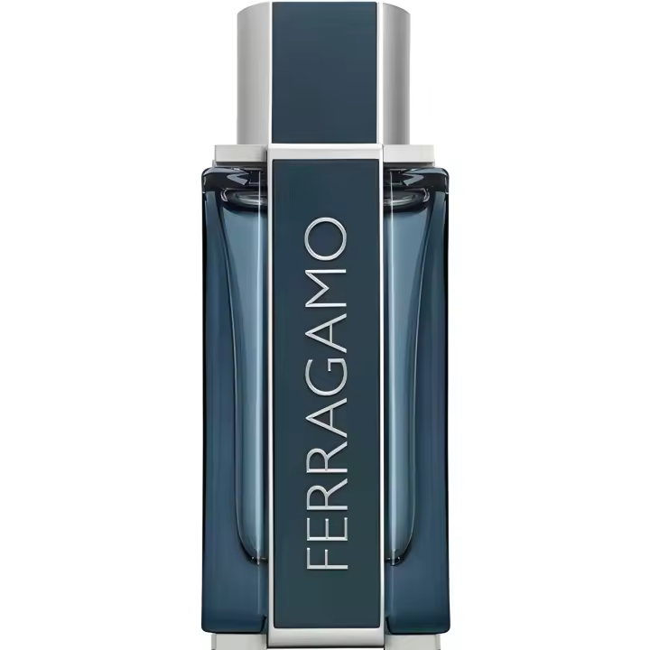 SALVATORE FERRAGAMO Ferragamo Intense Leather Eau de Parfum 100 ml - 1