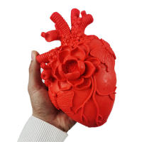 Molde De Silicona 3D Para Velas En Forma De Corazón Simulación De Órgano Humano Kit De Creación De Velas DIY De Bricolaje Para Plástico Y Resina - details 1