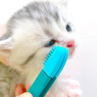 Herramientas De Limpieza Y Cuidado Para Mascotas Gato Cepillo Suave Para Ojos Eliminador De Manchas De Lágrimas Accesorios Para Gatos Suministros De Peluquería Para Mascotas - details 3