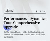 Harmonica JDR Ninja Clave De C Blues Mini Harpa 10 Agujeros 20 Notas Musical Con Estuche Para Adultos Y Niños Principiantes Profesionales - details 3