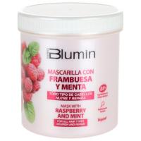 Tahe Blumin Pack Frambuesa y Menta: Champú 1000 Ml. + Mascarilla 700 Ml. / Nutritivo y purificante. - details 2