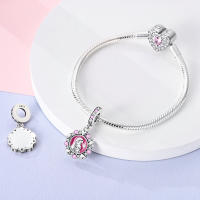 Colgante De Serie Trabajo Y Carrera En Color Plata Para Pulsera Pandora DIY Joyería Para Mujer Zirconia Metálica De Plata - details 57