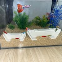 Túnel De Cueva Para Camarones En Acuario Decoración Para Tanque De Peces Ocasión Específica No Aplique Químicos Producido En China - details 5
