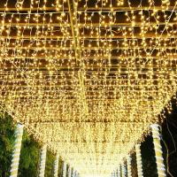 Guirnalda De Navidad Con Luces De Cuchilla LED Cortina De Escritorio Decorativa Para Jardín Exterior Bodas Y Calle - details 2