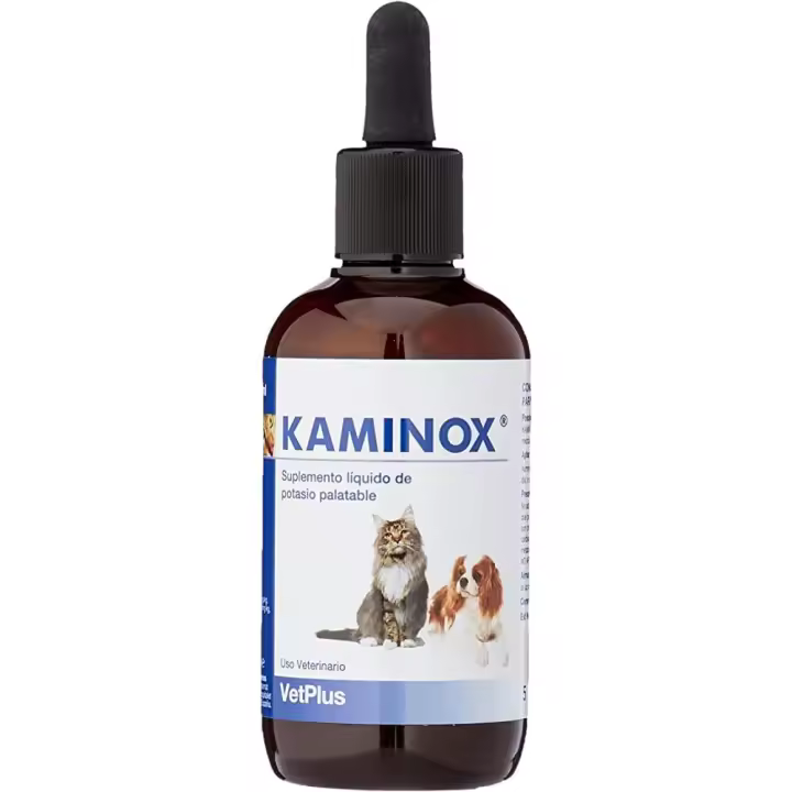 KAMINOX 120 ML - 1