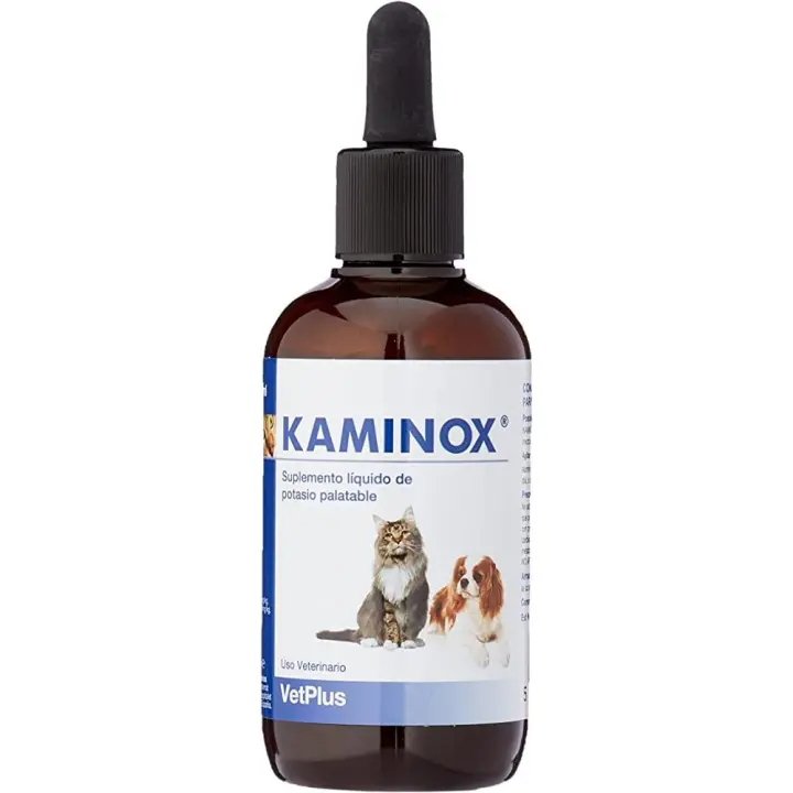 KAMINOX 120 ML - 1
