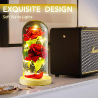 Regalo de flores conservadas, rosa iluminada en cúpula de cristal, regalos de flores de rosas eternas para siempre - details 3