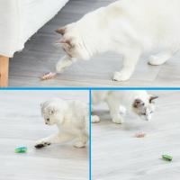 Juguete Electrónico Divertido Para Gatos Con Sabor a Hierba Catnip Mini Robot Insecto Con Vibración Y Tunnel Automático Operado Con Batería Cobaya Mariposa - details 22