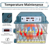 Incubadora de huevos 120, incubadora de huevos derecho para incubar pollitos, volteador automático de huevos con control de temperatura ,5 modos de incubación automáticos - details 0