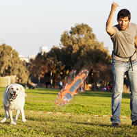 juguete para perros, Peluche para Mascotas con Cuerda, Juguetes Interactivos de Algodón para Perro, Juguetes Chirriantes Aburridos, Juguete para Morder para Perro, Juguetes Masticables, para Perro Pequeños, Medianos y Grandes, Limpieza Dental - details 2