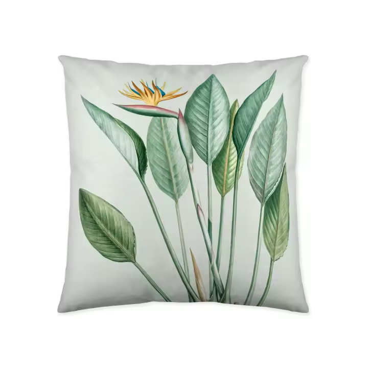 ICEHOME - Funda de Cojin Estampado - Sin Relleno - 60x60 Cm - Algodón Extra Suave - Fabricado en España - SANIA - 1