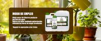 GREEN GOF Jabón Negro Premium (Solución Potásica), 5L. Concentrado. para Hongos y Plagas. Actúa por Contacto  Mejora Defensa de Las Plantas  Natural  Pulgón, Mosca Blanca, Araña Roja, Cochinilla. - details 5