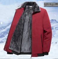 Chaqueta De Poliéster Impermeable Para Hombres Con Capucha Casual De Invierno Cuello Erguido Manga Larga Abrigo Acolchado Windbreaker Outerwear - details 0