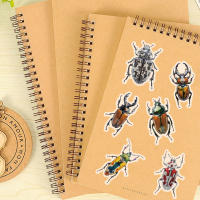 50PCS Pegatinas De Enciclopedia De Bugues Para La Enseñanza De Los Insectos Decoración De Plástico PET Para DIY Y Material De Libro - details 7