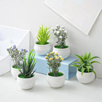 Mini Planta De Simulación Aloe Artificial Bonsái Para Decoración De Escritorio En Oficina Y Hogar Ornamento De Plantas Artificiales - details 1