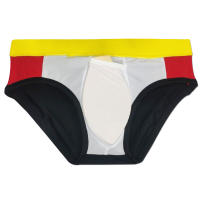 Bragas De Natación Para Hombre Briefs De Playa Deporte Acuático Estilo Sexy Con Palabras De La Bandera Y Copa Word Cup Material Poliéster Y Spandex - details 15