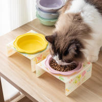 Tazón De Mascota Con Soporte De Acrílico Y Cerámica Floral Protección Del Cuello Para Gatos Y Perros Alimentación Alimentos Para Mascotas - details 1