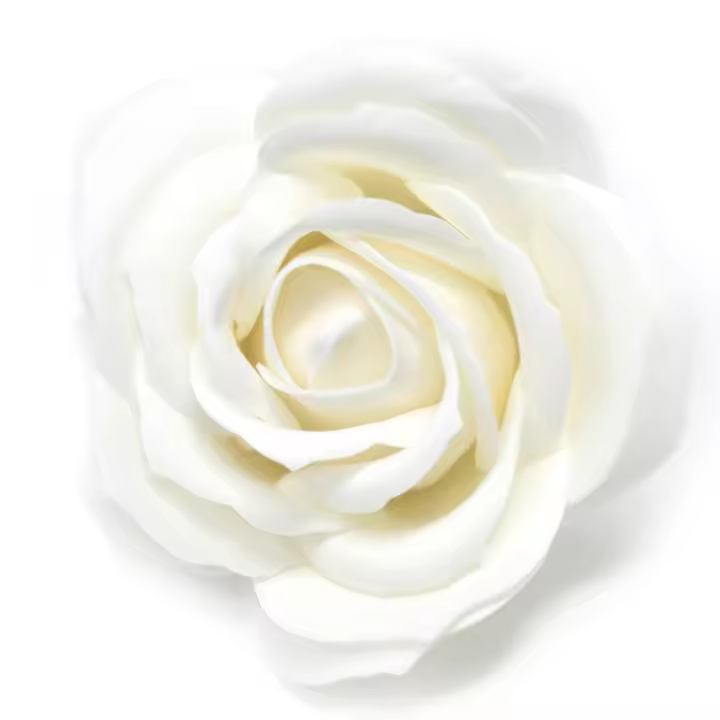 Flor de manualidades deco grande - blanca - Jabón - 1