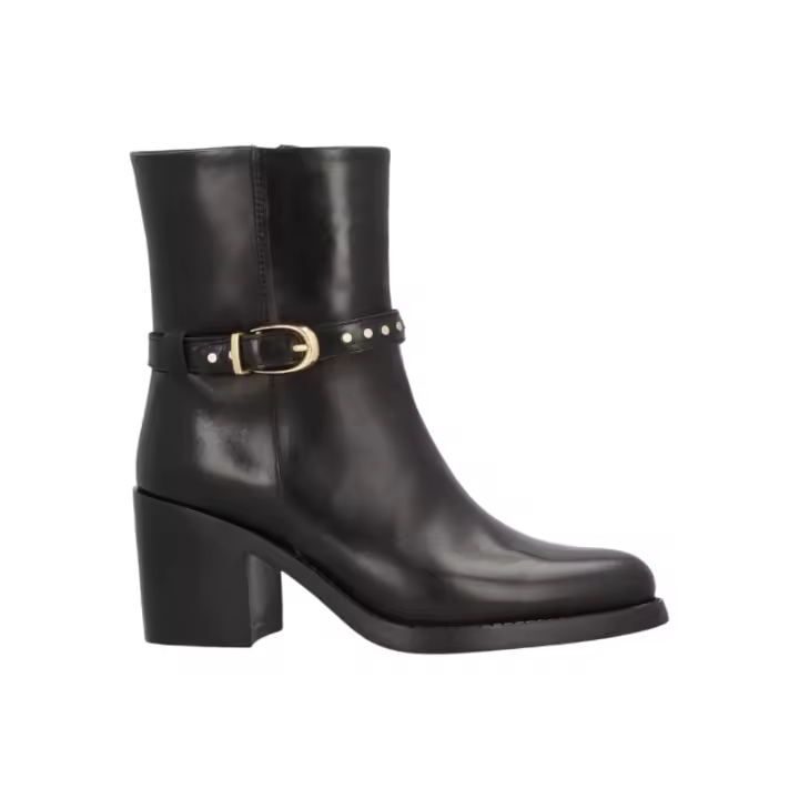 Alpe Botin Leyna - 1