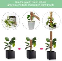 Soporte de apoyo para plantas trepadoras, 2 piezas de postes de coco Totem Plant Support Pole, palillo de musgo de Coco para plantas trepadoras Vines Lianas, - details 3