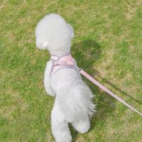 Harnés Para Perros De Correa Reflectante Y Transpirable Ajustable Ropa De Vestir Para Paseos Al Aire Libre Material De Poliéster - details 6