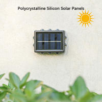 Lámpara Solar Exterior 10LED Impermeable De Cuatro Hojas De Cloaca Control De Luz Para Valla Jardín Calle Balcón 2 Pack - details 3
