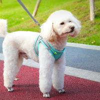 Harnés Ajustable Para Gatos Y Perros Reflectante Y Transpirable Con Correa Para Pecho Para Caminar Al Aire Libre Para Pequeños Y Medianos Perros - details 5