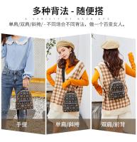 Nuevos Bricos Europeos Bolsas De Hombro Para Mujer Con Estampado Retro Múltiples Maneras De Portar Pequeño Bolsos De Malla PU Con Lining De Poliéster - details 1