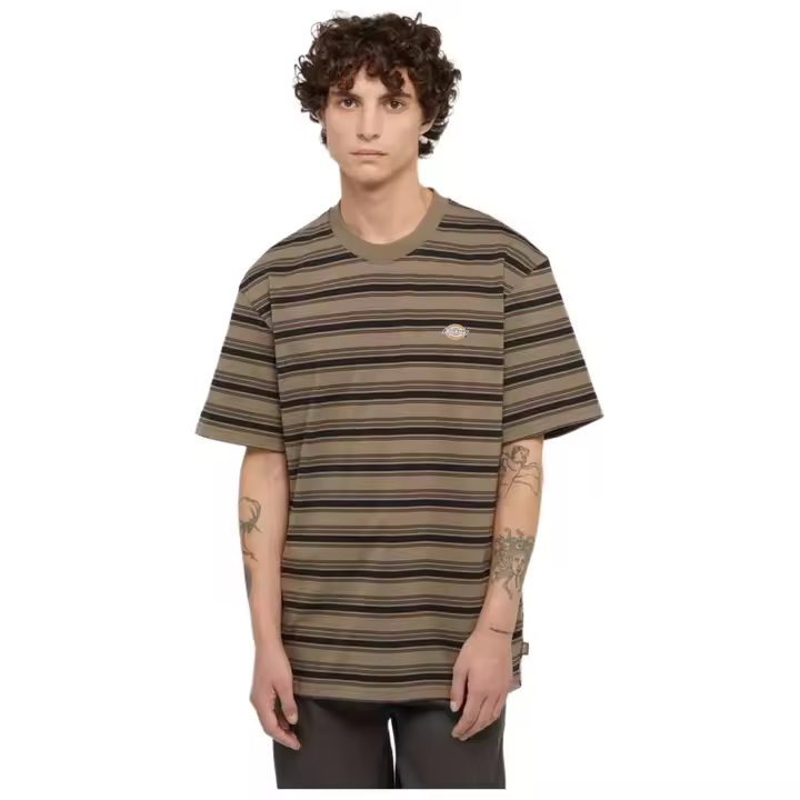 Sportswear Dickies modelo Stevensville Stripe Tee Ss en color Marrón - 1