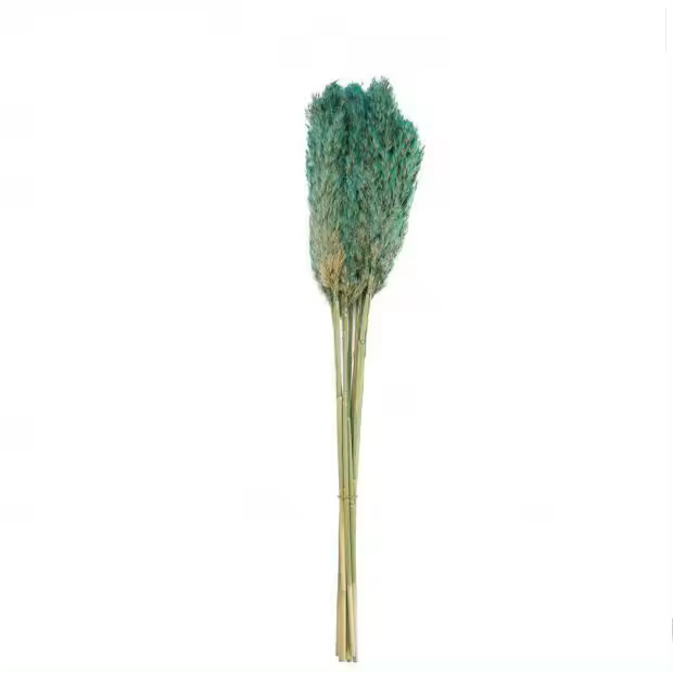 Factory Cuadros - Cuadro Decorativo Pampa Verde 75cm - 1