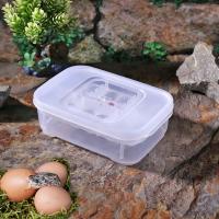 Caja De Incubador Para Huevos De Reptiles 12 Compartimentos Caso De Cría De Lagartos Y Serpientes En Plástico ABS - details 3