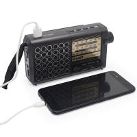 Radio Solar Recargable AM FM Con Conexión De Teléfono Y Altavoz Euler Band Radio Portátil Con Pantalla De Plástico - details 17