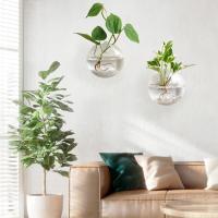 Vaso De Hierro Hidroponía Transparente Para Acuarios Pequeños En Pared Con Plantas Y Peces Juego De Decoración Para El Hogar - details 6
